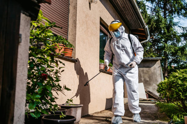 Best Flea Control Services  in Encantada Ranchito El Calaboz, TX