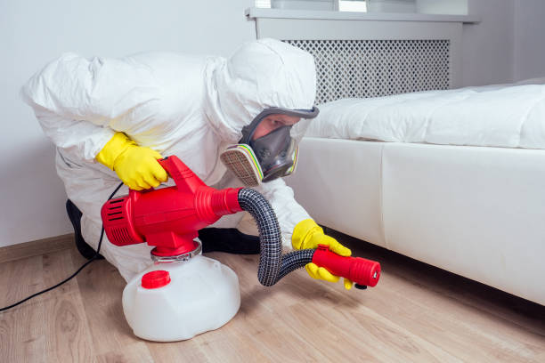 Professional Pest Control in Encantada Ranchito El Calaboz, TX