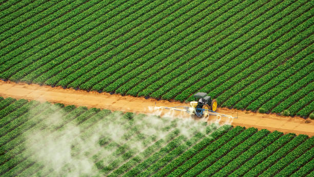 Best Pest Prevention Services  in Encantada Ranchito El Calaboz, TX