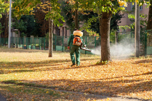 Best Affordable Pest Control Services  in Encantada Ranchito El Calaboz, TX