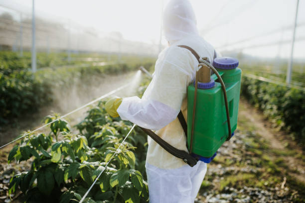 Pest Control Cost in Encantada Ranchito El Calaboz, TX